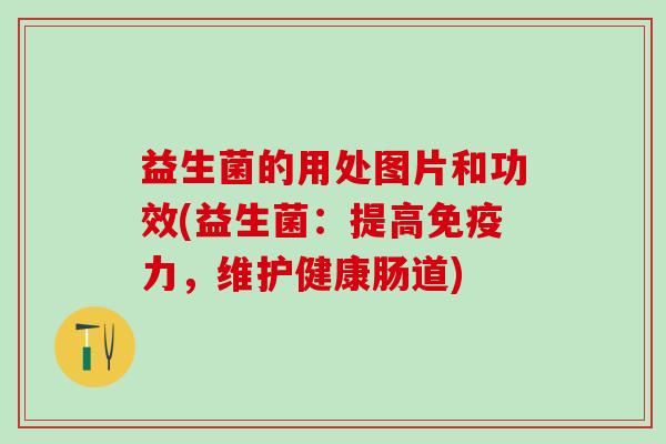 益生菌的用处图片和功效(益生菌：提高力，维护健康肠道)