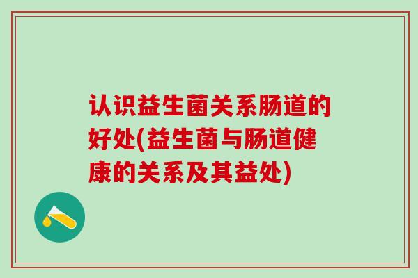 认识益生菌关系肠道的好处(益生菌与肠道健康的关系及其益处)
