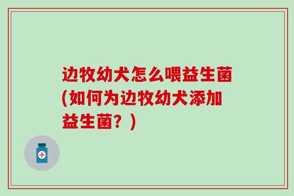边牧幼犬怎么喂益生菌(如何为边牧幼犬添加益生菌？)