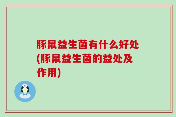 豚鼠益生菌有什么好处(豚鼠益生菌的益处及作用)