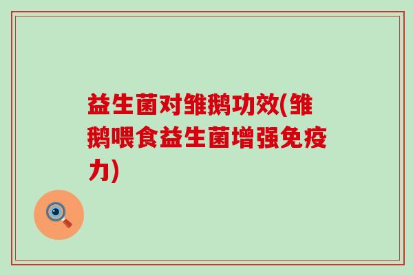 益生菌对雏鹅功效(雏鹅喂食益生菌增强力)