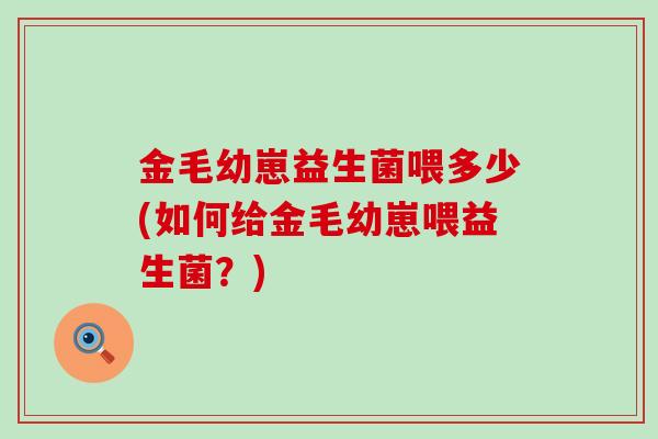 金毛幼崽益生菌喂多少(如何给金毛幼崽喂益生菌？)