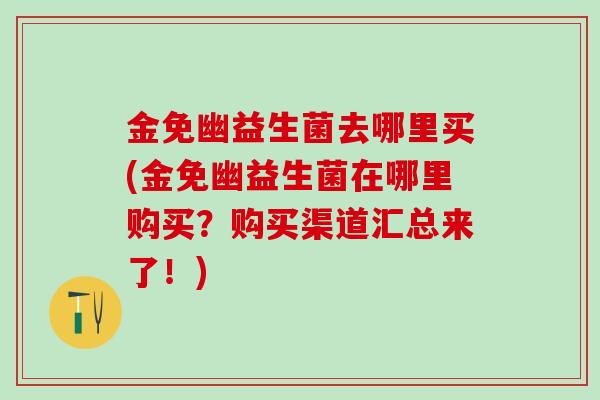 金免幽益生菌去哪里买(金免幽益生菌在哪里购买？购买渠道汇总来了！)