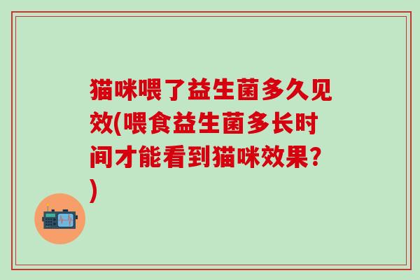 猫咪喂了益生菌多久见效(喂食益生菌多长时间才能看到猫咪效果？)