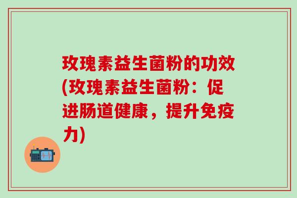 玫瑰素益生菌粉的功效(玫瑰素益生菌粉：促进肠道健康，提升力)