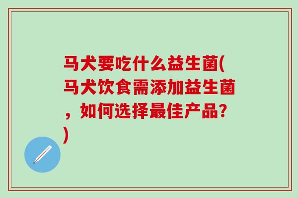 马犬要吃什么益生菌(马犬饮食需添加益生菌，如何选择佳产品？)