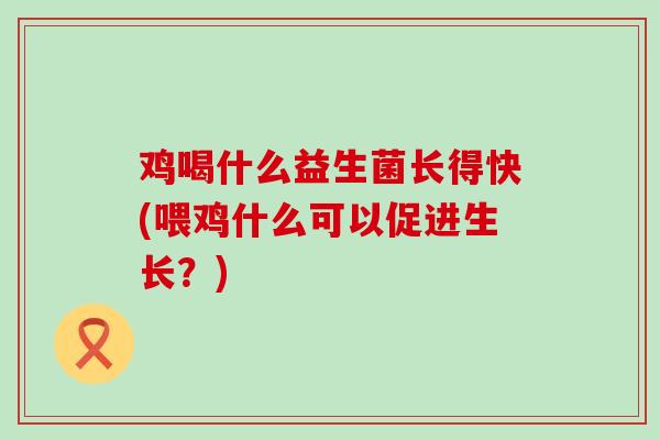 鸡喝什么益生菌长得快(喂鸡什么可以促进生长?) 鸡喝什么益生菌长得快(喂鸡什么可以促进生长?)