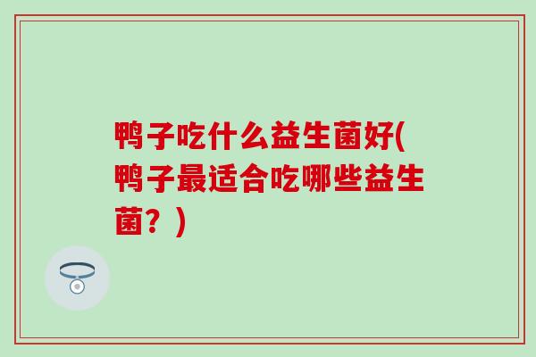 鸭子吃什么益生菌好(鸭子适合吃哪些益生菌？)