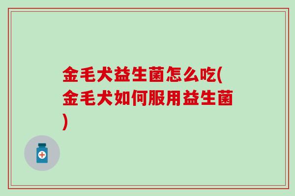 金毛犬益生菌怎么吃(金毛犬如何服用益生菌)