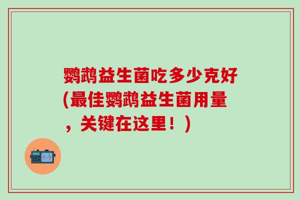 鹦鹉益生菌吃多少克好(佳鹦鹉益生菌用量，关键在这里！)