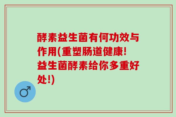 酵素益生菌有何功效与作用(重塑肠道健康!益生菌酵素给你多重好处!)