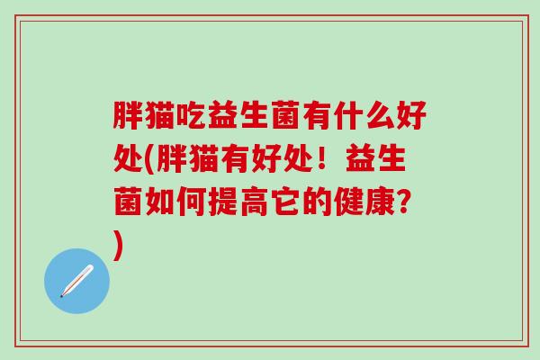 胖猫吃益生菌有什么好处(胖猫有好处！益生菌如何提高它的健康？)