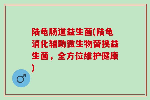 陆龟肠道益生菌(陆龟消化辅助微生物替换益生菌，全方位维护健康)