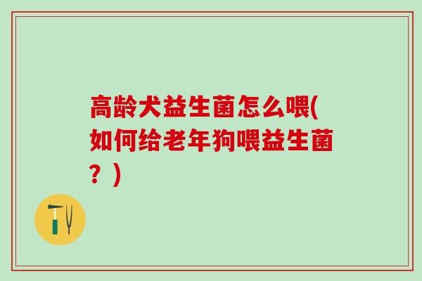 高龄犬益生菌怎么喂(如何给老年狗喂益生菌？)