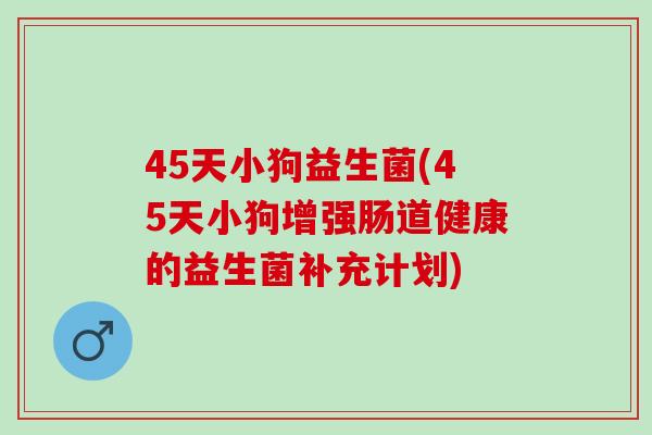 45天小狗益生菌(45天小狗增强肠道健康的益生菌补充计划)