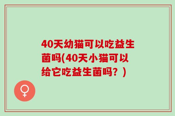 40天幼猫可以吃益生菌吗(40天小猫可以给它吃益生菌吗？)