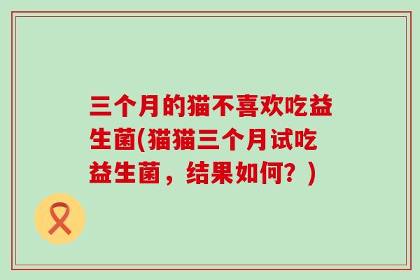 三个月的猫不喜欢吃益生菌(猫猫三个月试吃益生菌，结果如何？)