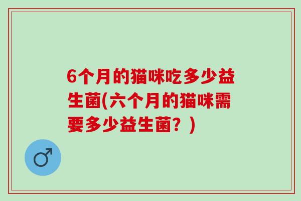 6个月的猫咪吃多少益生菌(六个月的猫咪需要多少益生菌？)