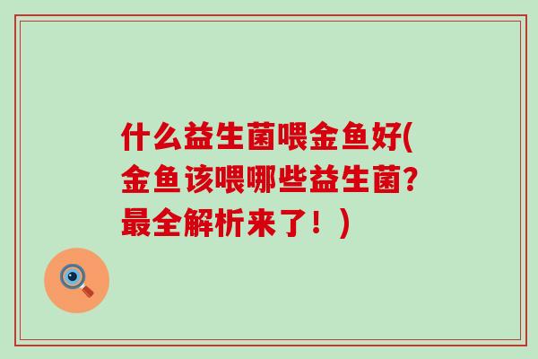 什么益生菌喂金鱼好(金鱼该喂哪些益生菌？全解析来了！)