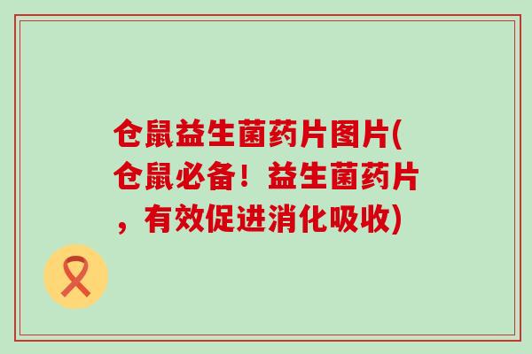 仓鼠益生菌药片图片(仓鼠必备！益生菌药片，有效促进消化吸收)