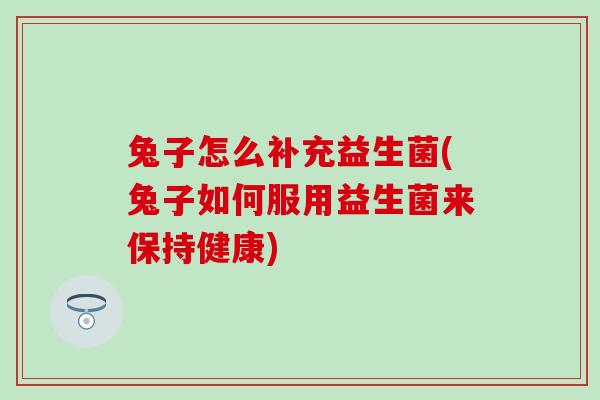 兔子怎么补充益生菌(兔子如何服用益生菌来保持健康)