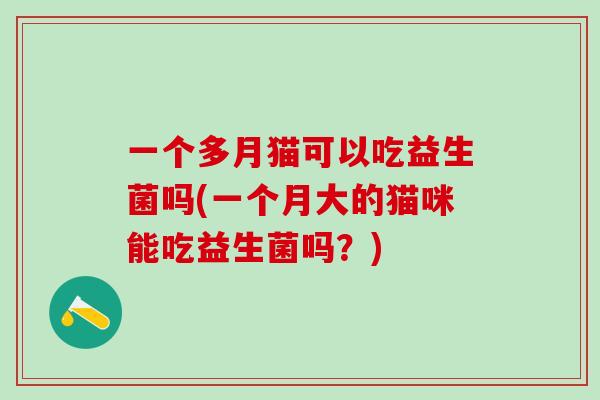 一个多月猫可以吃益生菌吗(一个月大的猫咪能吃益生菌吗？)