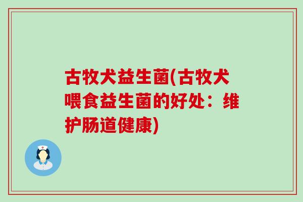 古牧犬益生菌(古牧犬喂食益生菌的好处：维护肠道健康)