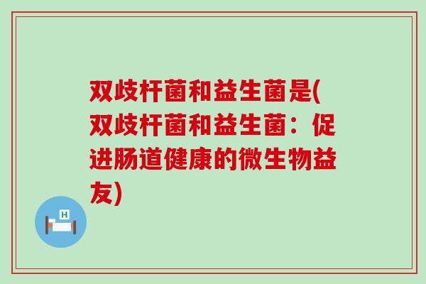 双歧杆菌和益生菌是(双歧杆菌和益生菌：促进肠道健康的微生物益友)