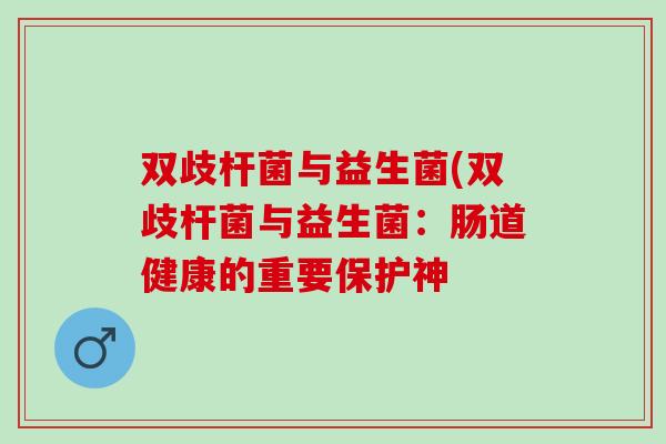 双歧杆菌与益生菌(双歧杆菌与益生菌：肠道健康的重要保护神