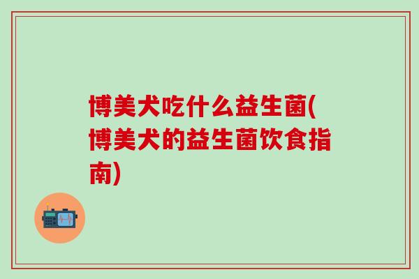 博美犬吃什么益生菌(博美犬的益生菌饮食指南)