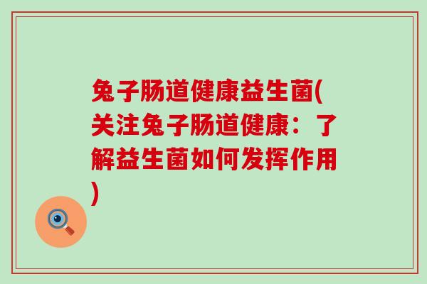 兔子肠道健康益生菌(关注兔子肠道健康：了解益生菌如何发挥作用)