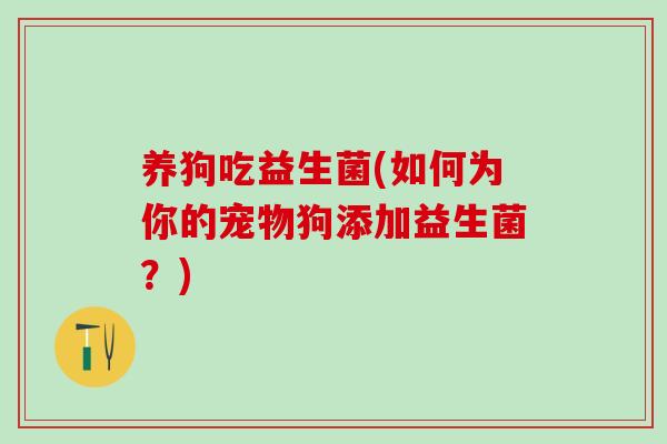 养狗吃益生菌(如何为你的宠物狗添加益生菌？)