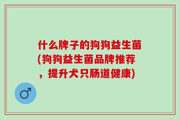 什么牌子的狗狗益生菌(狗狗益生菌品牌推荐，提升犬只肠道健康)