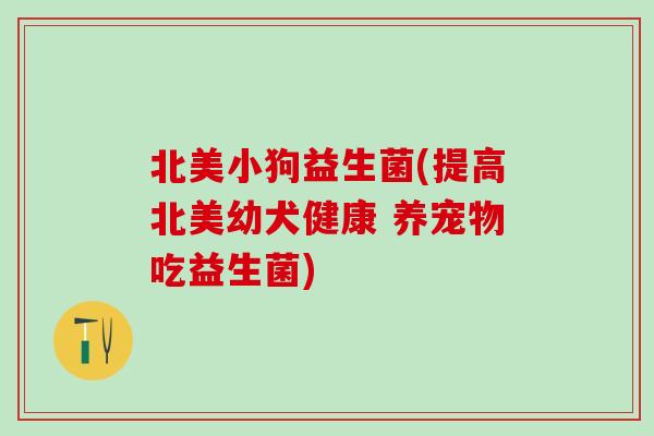 北美小狗益生菌(提高北美幼犬健康 养宠物吃益生菌)