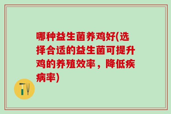 哪种益生菌养鸡好(选择合适的益生菌可提升鸡的养殖效率，降低率)