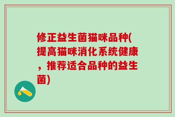 修正益生菌猫咪品种(提高猫咪消化系统健康，推荐适合品种的益生菌)