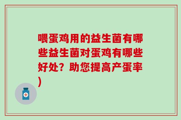 喂蛋鸡用的益生菌有哪些益生菌对蛋鸡有哪些好处？助您提高产蛋率)