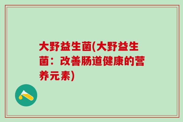 大野益生菌(大野益生菌：改善肠道健康的营养元素)