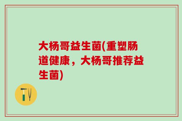 大杨哥益生菌(重塑肠道健康，大杨哥推荐益生菌)