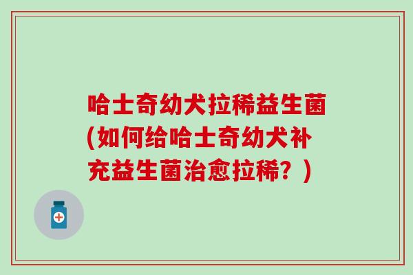哈士奇幼犬拉稀益生菌(如何给哈士奇幼犬补充益生菌愈拉稀？)
