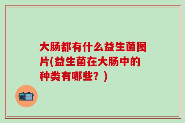 大肠都有什么益生菌图片(益生菌在大肠中的种类有哪些？)
