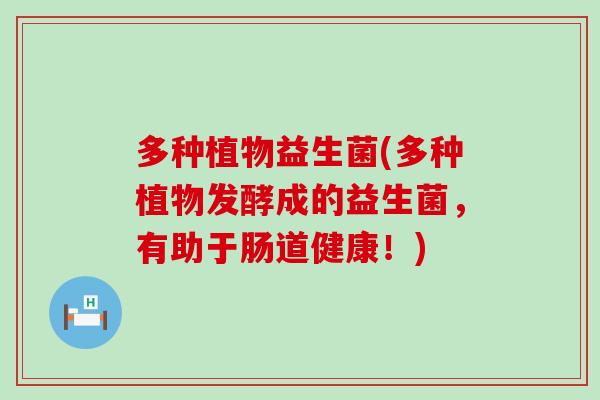 多种植物益生菌(多种植物发酵成的益生菌，有助于肠道健康！)