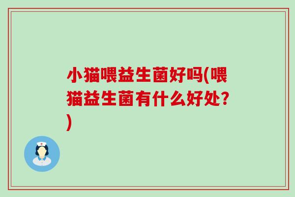 小猫喂益生菌好吗(喂猫益生菌有什么好处？)