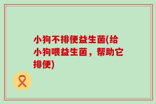 小狗不排便益生菌(给小狗喂益生菌，帮助它排便)