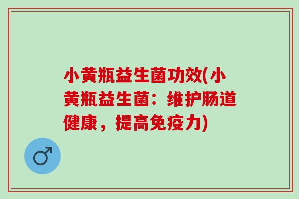 小黄瓶益生菌功效(小黄瓶益生菌：维护肠道健康，提高力)