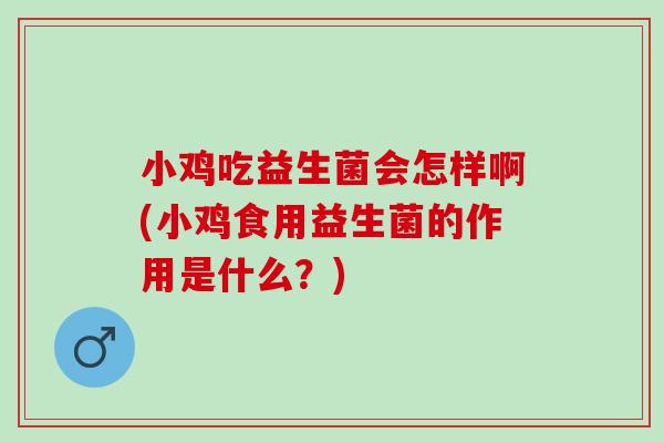 小鸡吃益生菌会怎样啊(小鸡食用益生菌的作用是什么？)