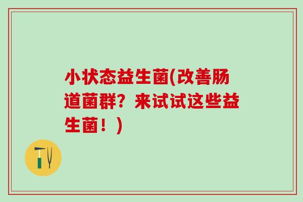 小状态益生菌(改善肠道菌群？来试试这些益生菌！)