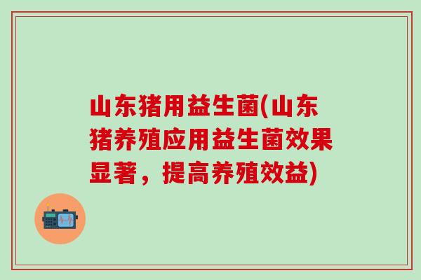 山东猪用益生菌(山东猪养殖应用益生菌效果显著，提高养殖效益)