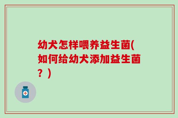 幼犬怎样喂养益生菌(如何给幼犬添加益生菌？)