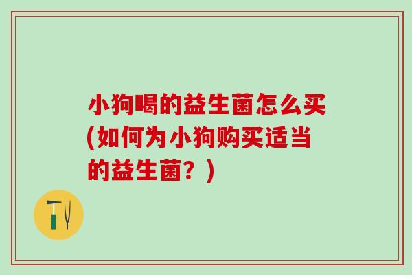 小狗喝的益生菌怎么买(如何为小狗购买适当的益生菌？)